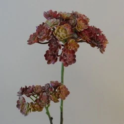 Artificial Echeveria Spray Red 48cm - SUC034 BX1