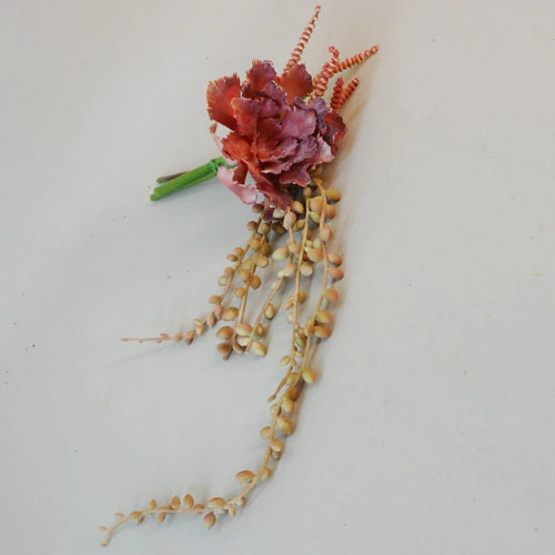 Trailing Succulents Bundle Orange - SUC036 JJ2