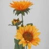Artificial Sunflowers Spray (2+1) 65cm - S001