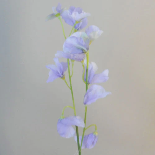 Sweet Peas Stem Lilac 49cm - S024 FF2