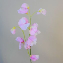 Sweet Peas Stem Pale Pink 49cm - S025 U2