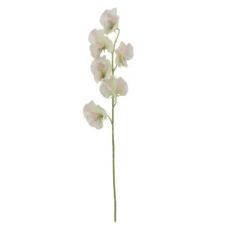 Blush Pink Sweet Peas Stem 42cm - S141 C2