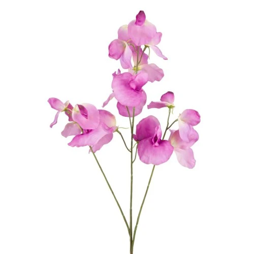 Carousel Sweet Peas Magenta Pink 74cm - S075 Q2
