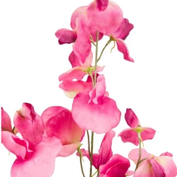 Carousel Sweet Peas Pink 74cm - S083 R2