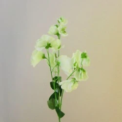 Long Artificial Sweet Peas Stem Green - S122 R4