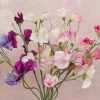Luxury Artificial Sweet Peas Posy 40cm - S049 BX1