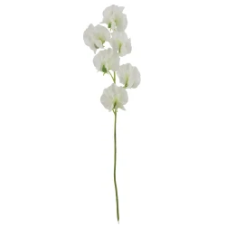White Sweet Peas Stem 42cm - S143 C2