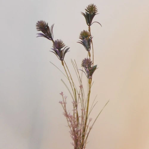 English Sea Holly Thistles Purple 66cm - E009 H2