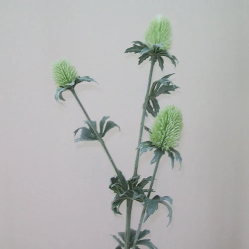 Artificial Thistles Green 77cm - T048 Q4
