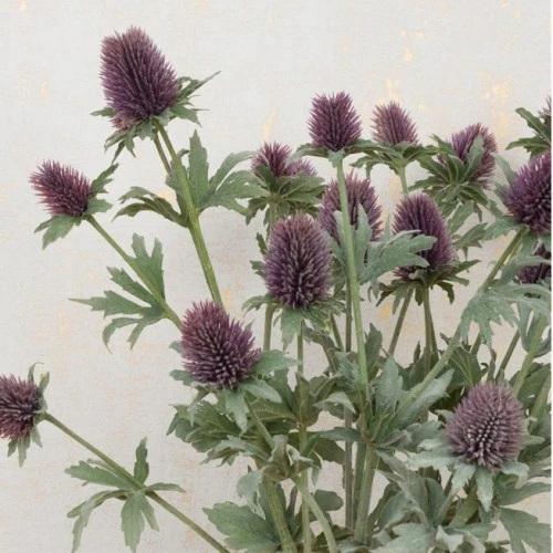 Artificial Thistles Purple 77cm - T049 