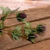Thistle Spray Purple 66cm - T026