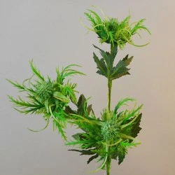 Wild Sea Holly Thistles Green 67cm - E019 E2