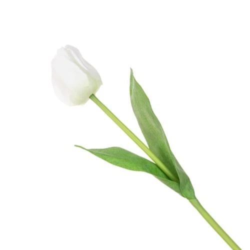 Artificial Tulips White 48cm - T020 