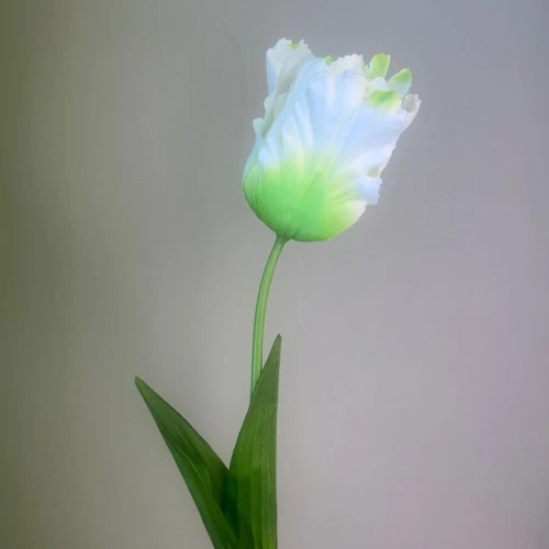 Artificial Parrot Tulips White Green 69cm  - T072 R1