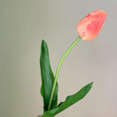 Real Touch Artificial Tulips Peach 50cm - T023 R3