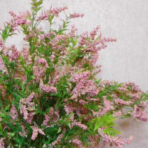 Artificial Veronica Flowers Pale Pink 70cm - V006 HH4