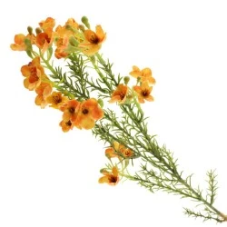 Artificial Wax Flowers Orange 66cm - W032 U3