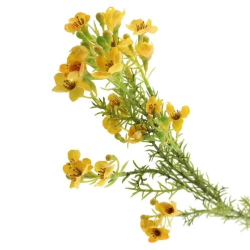 Artificial Wax Flowers Yellow 66cm - W035 U3