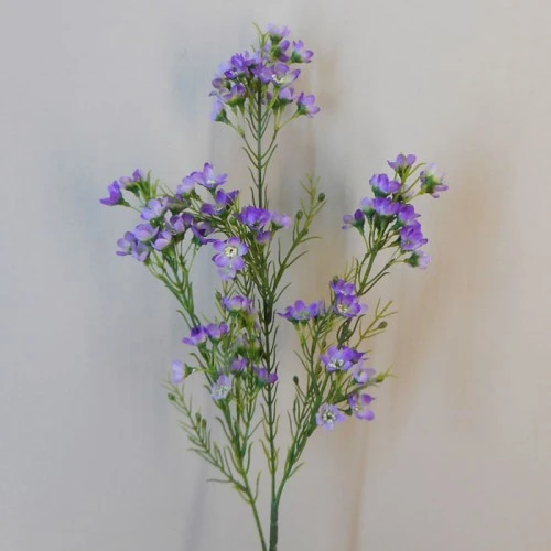 Artificial Wax Flowers Purple 67cm - W063 S2