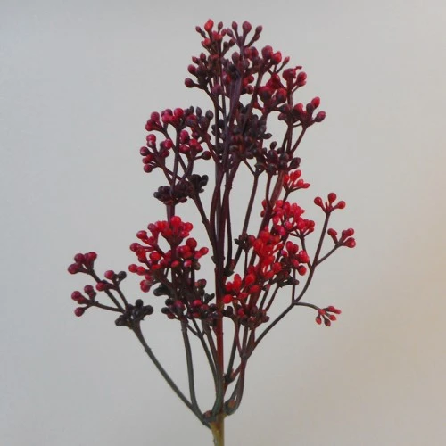 Short Stem Artificial Wax Flower Buds Red 36cm - W071 