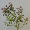 Short Stem Artificial Wax Flower Buds Mulberry 36cm - W067 II1