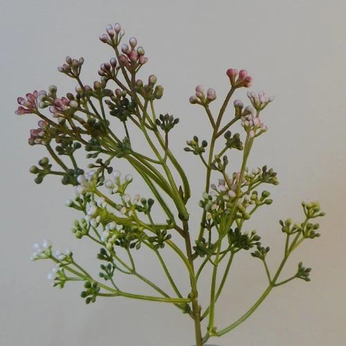 Short Stem Artificial Wax Flower Buds Mulberry 36cm - W067 II1