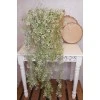 Artificial Trailing Plants White Wax Flower Buds 94cm - W070 BB4