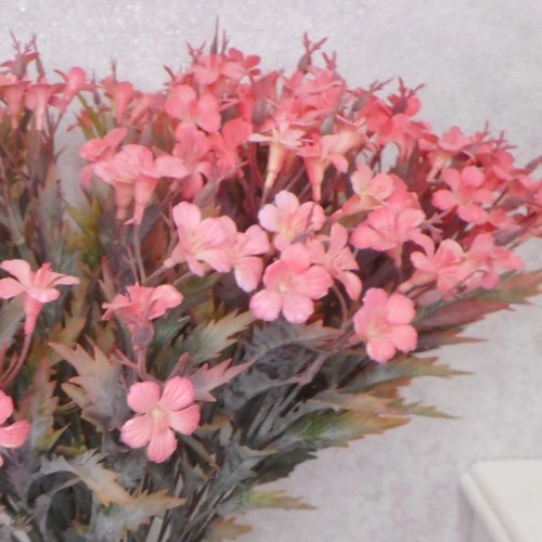 Artificial Campion Flowers Pink 59cm - C060 I3