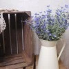 Artificial Wild Flower Plants Blue 45cm - W001 T1