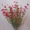 Artificial Wild Flower Plants Hot Pink 45cm - W002 T1