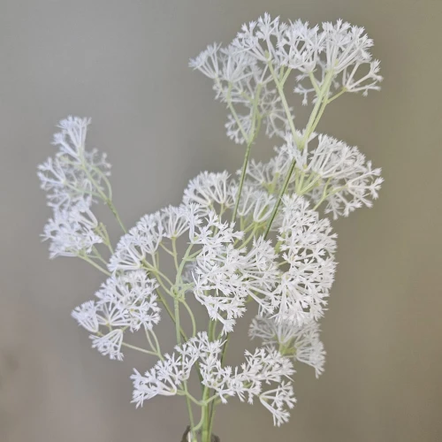 Mini Wild Flowers White 64cm - W003 BB2