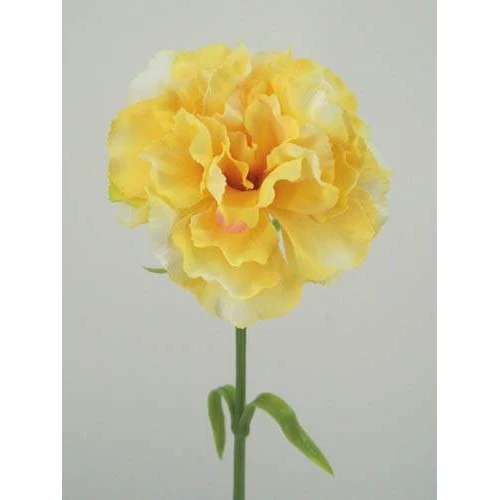 Silk Carnation Yellow 60cm - C048 D2