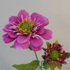 Zinnia and Bud Mauve Pink 43.5cm - Z038 T2
