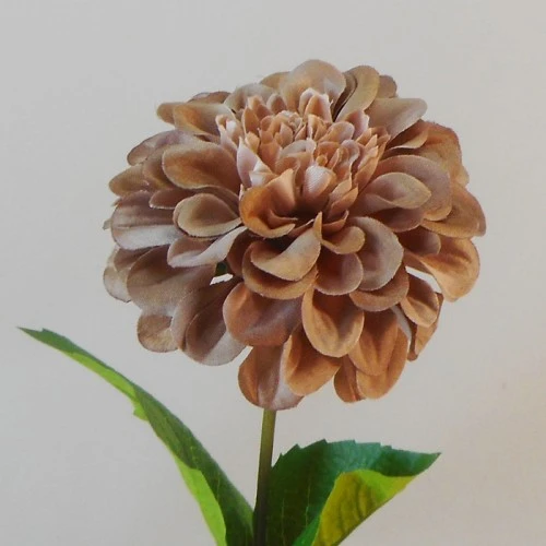 Artificial Zinnias Caramel Latte 46cm - Z005 T3
