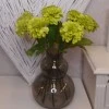 Zinnia Lime Green 46cm - Z019 T3