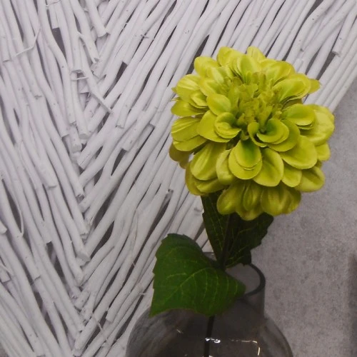 Zinnia Lime Green 46cm - Z019 T3
