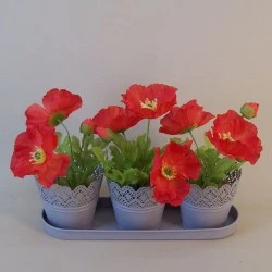 Set of Three Grey Metal Plant Pots on a Tray - TIN006 10C