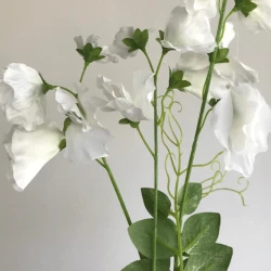 Long Artificial Sweet Peas Stem Ivory - S120 Q2