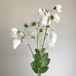 Long Artificial Sweet Peas Stem Ivory - S120 Q2