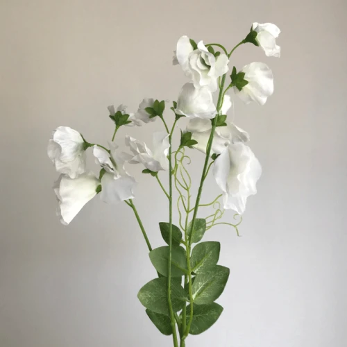 Long Artificial Sweet Peas Stem Ivory - S120 Q2