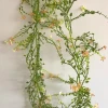 Artificial Wild Flowers Garland Peach 180cm - W056 JJ2